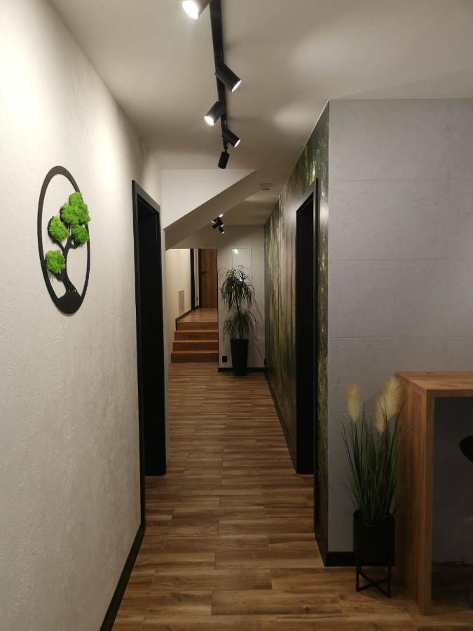 Witów Apartament Skorusinka W Poblizu Chocholowskich Term מראה חיצוני תמונה